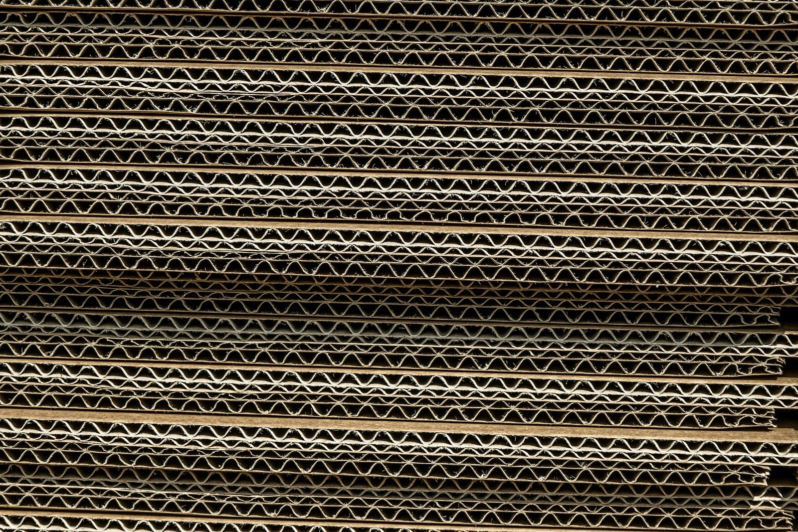 505940_2